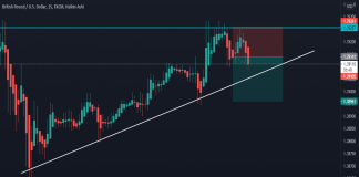 Mini Exness Mt5 Exness Metatrader 5 91 1 1